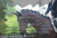 ref. photo 3787019