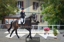 ref. photo 3787022