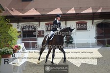 ref. photo 3787025