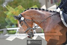 ref. photo 3787181