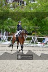 ref. photo 3787184