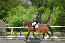 ref. photo 3787193
