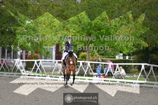 ref. photo 3787196