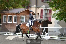 ref. photo 3787201