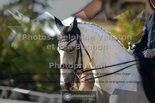 ref. photo 3787250