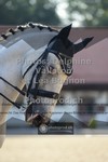 ref. photo 3787252