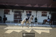 ref. photo 3787260