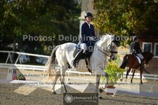 ref. photo 3787273