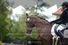 ref. photo 3787306