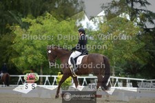 ref. photo 3787315