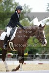 ref. photo 3787334