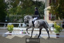 ref. photo 3787345