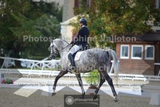 ref. photo 3787352