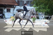ref. photo 3787360