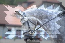 ref. photo 3787364