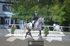 ref. photo 3787368