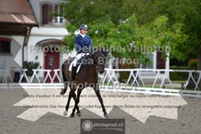 ref. photo 3787393