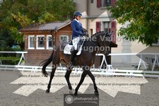 ref. photo 3787394