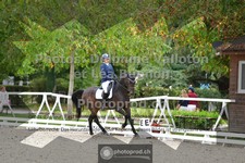 ref. photo 3787410