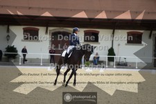 ref. photo 3787418