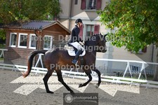ref. photo 3787495
