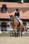 ref. photo 3787528