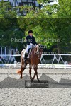 ref. photo 3787597