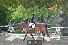 ref. photo 3787601