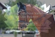 ref. photo 3787629