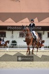 ref. photo 3787817