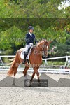ref. photo 3787884