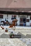 ref. photo 3787888