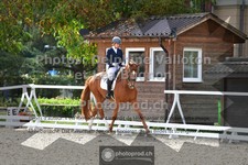 ref. photo 3787894
