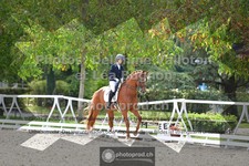 ref. photo 3787901