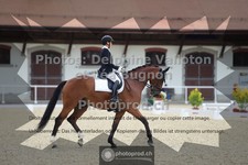 ref. photo 3788010