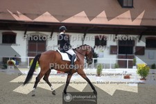 ref. photo 3788011