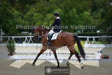 ref. photo 3788020