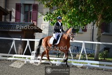 ref. photo 3788439