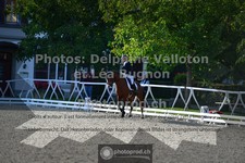 ref. photo 3788449