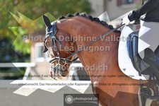 ref. photo 3788454