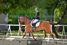 ref. photo 3788465