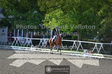 ref. photo 3788484