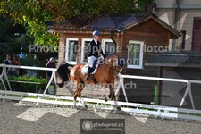 ref. photo 3788485