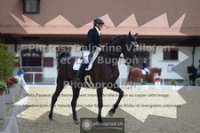 ref. photo 3788514