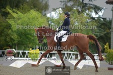 ref. photo 3788542
