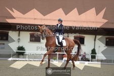 ref. photo 3788547