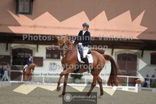 ref. photo 3788548