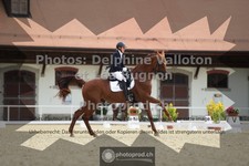 ref. photo 3788550