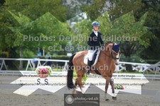 ref. photo 3788743