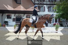 ref. photo 3788749